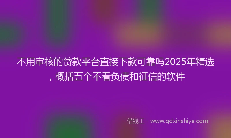 不用审核的贷款平台直接下款可靠吗2025年精选，概括五个不看负债和征信的软件
