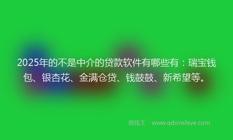 2025年的不是中介的贷款软件有哪些有：瑞宝钱包、银杏花、金满仓贷、钱鼓鼓、新希望等。