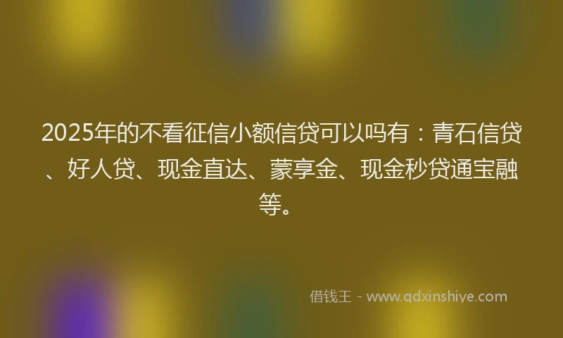 2025年的不看征信小额信贷可以吗有：青石信贷、好人贷、现金直达、蒙享金、现金秒贷通宝融等。