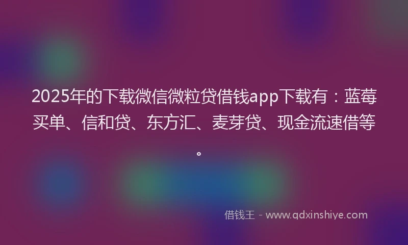 2025年的下载微信微粒贷借钱app下载有：蓝莓买单、信和贷、东方汇、麦芽贷、现金流速借等。