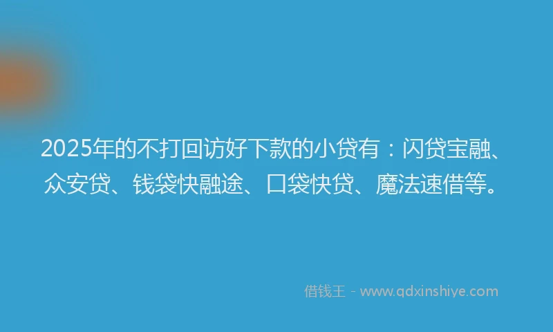 2025年的不打回访好下款的小贷有：闪贷宝融、众安贷、钱袋快融途、口袋快贷、魔法速借等。