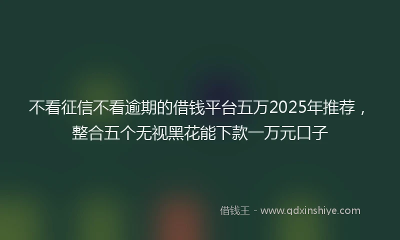 不看征信不看逾期的借钱平台五万2025年推荐，整合五个无视黑花能下款一万元口子