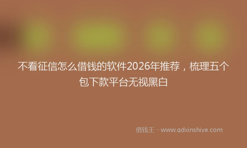 不看征信怎么借钱的软件2026年推荐，梳理五个包下款平台无视黑白