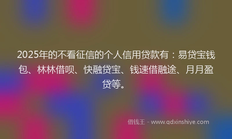 2025年的不看征信的个人信用贷款有：易贷宝钱包、林林借呗、快融贷宝、钱速借融途、月月盈贷等。