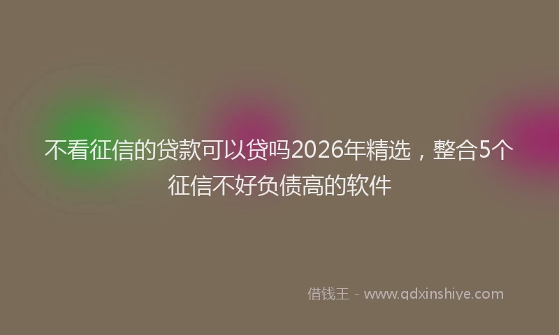 不看征信的贷款可以贷吗2026年精选，整合5个征信不好负债高的软件