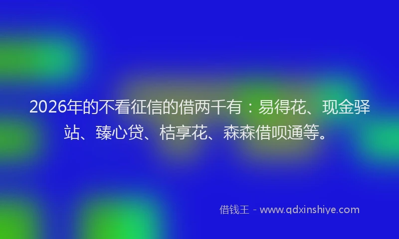 2026年的不看征信的借两千有：易得花、现金驿站、臻心贷、桔享花、森森借呗通等。