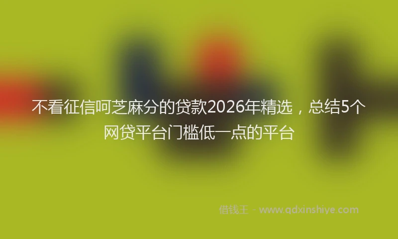 不看征信呵芝麻分的贷款2026年精选，总结5个网贷平台门槛低一点的平台