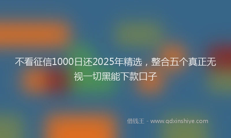 不看征信1000日还2025年精选，整合五个真正无视一切黑能下款口子