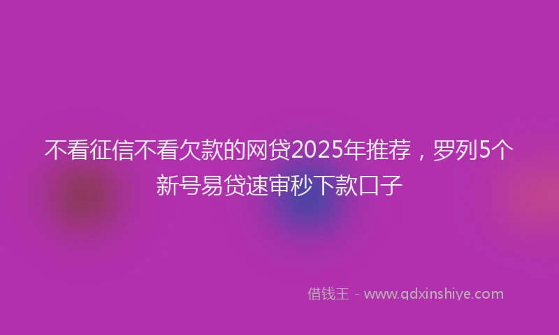 不看征信不看欠款的网贷2025年推荐，罗列5个新号易贷速审秒下款口子