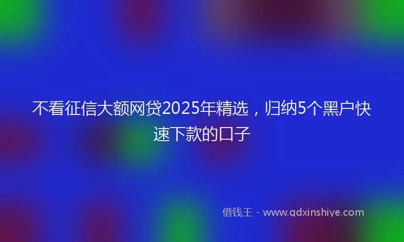 不看征信大额网贷2025年精选，归纳5个黑户快速下款的口子