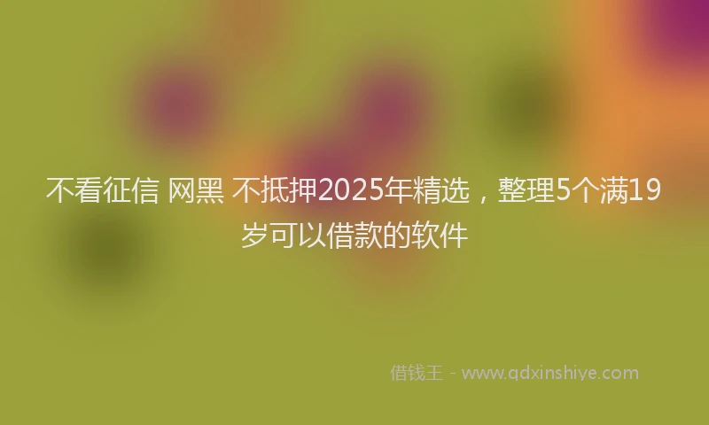 不看征信 网黑 不抵押2025年精选，整理5个满19岁可以借款的软件