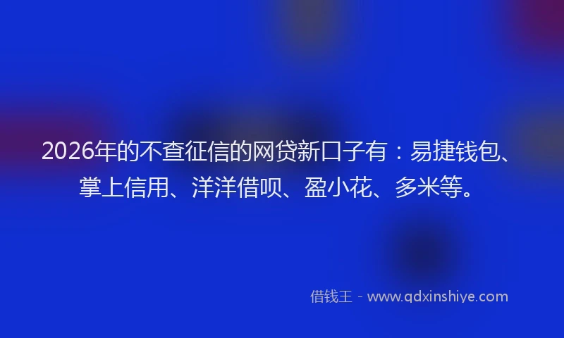 2026年的不查征信的网贷新口子有：易捷钱包、掌上信用、洋洋借呗、盈小花、多米等。