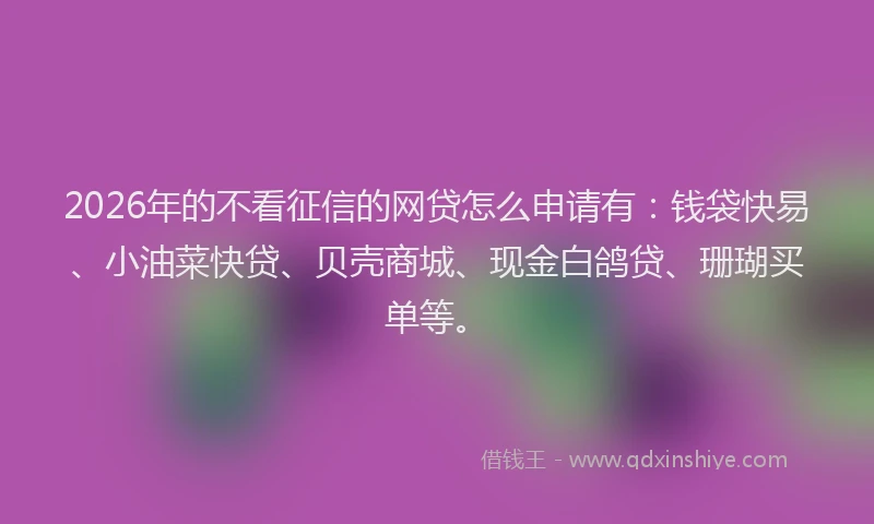 2026年的不看征信的网贷怎么申请有：钱袋快易、小油菜快贷、贝壳商城、现金白鸽贷、珊瑚买单等。