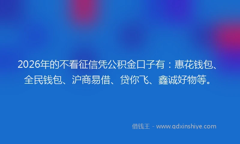 2026年的不看征信凭公积金口子有：惠花钱包、全民钱包、沪商易借、贷你飞、鑫诚好物等。