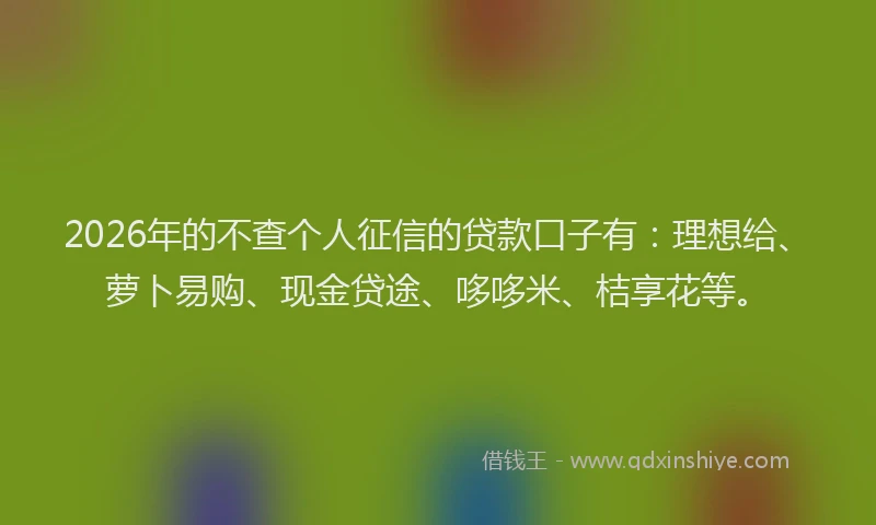 2026年的不查个人征信的贷款口子有：理想给、萝卜易购、现金贷途、哆哆米、桔享花等。