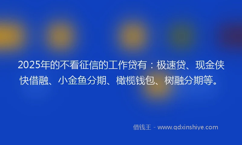 2025年的不看征信的工作贷有：极速贷、现金侠快借融、小金鱼分期、橄榄钱包、树融分期等。