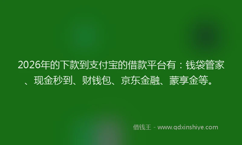 2026年的下款到支付宝的借款平台有：钱袋管家、现金秒到、财钱包、京东金融、蒙享金等。