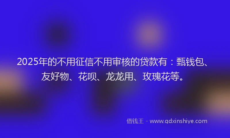 2025年的不用征信不用审核的贷款有：甄钱包、友好物、花呗、龙龙用、玫瑰花等。
