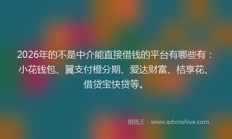 2026年的不是中介能直接借钱的平台有哪些有：小花钱包、翼支付橙分期、爱达财富、桔享花、借贷宝快贷等。