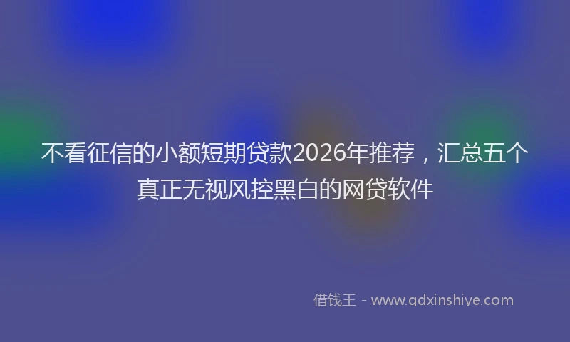 不看征信的小额短期贷款2026年推荐，汇总五个真正无视风控黑白的网贷软件