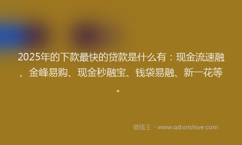2025年的下款最快的贷款是什么有：现金流速融、金峰易购、现金秒融宝、钱袋易融、新一花等。