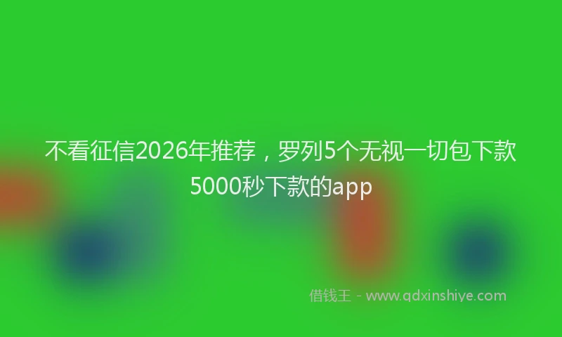 不看征信2026年推荐,罗列5个无视一切包下款5000秒下款的app