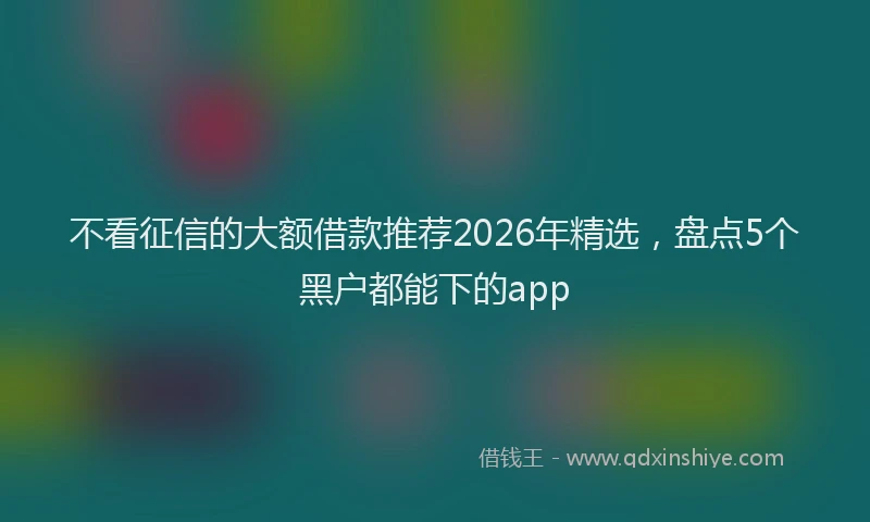 不看征信的大额借款推荐2026年精选,盘点5个黑户都能下的app