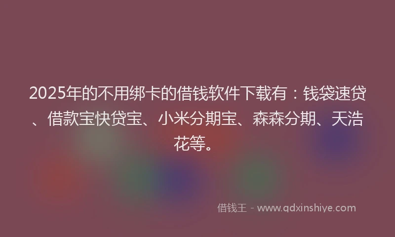 2025年的不用绑卡的借钱软件下载有：钱袋速贷、借款宝快贷宝、小米分期宝、森森分期、天浩花等。