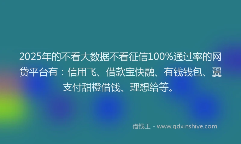 2025年的不看大数据不看征信100%通过率的网贷平台有：信用飞、借款宝快融、有钱钱包、翼支付甜橙借钱、理想给等。