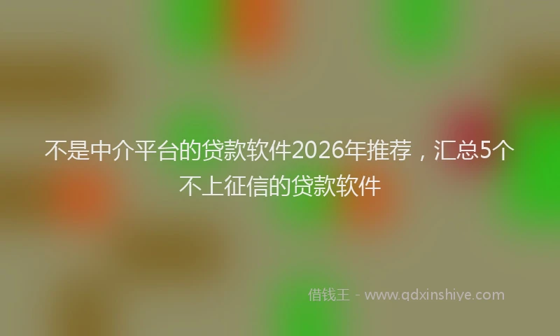 不是中介平台的贷款软件2026年推荐，汇总5个不上征信的贷款软件