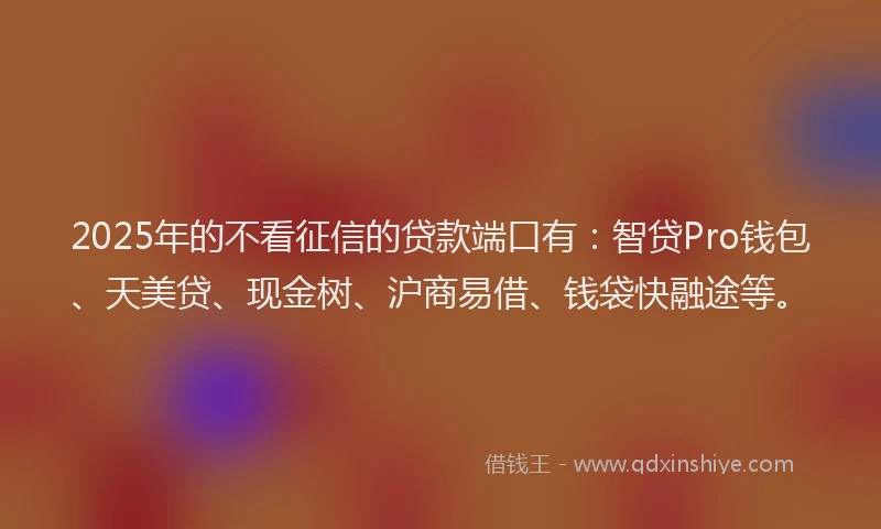 2025年的不看征信的贷款端口有：智贷Pro钱包、天美贷、现金树、沪商易借、钱袋快融途等。