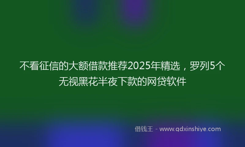 不看征信的大额借款推荐2025年精选,罗列5个无视黑花半夜下款的网贷软件