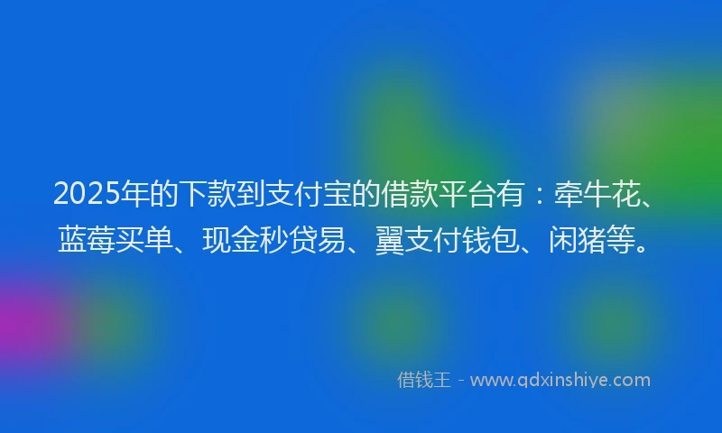 2025年的下款到支付宝的借款平台有：牵牛花、蓝莓买单、现金秒贷易、翼支付钱包、闲猪等。