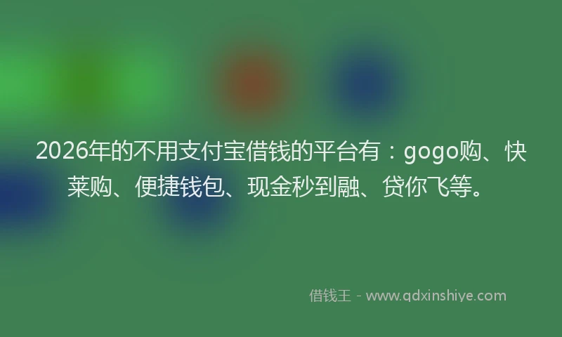 2026年的不用支付宝借钱的平台有：gogo购、快莱购、便捷钱包、现金秒到融、贷你飞等。