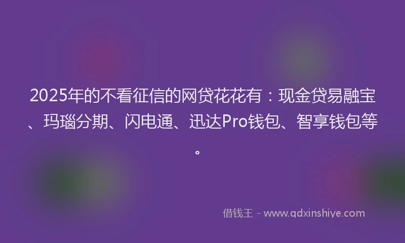 2025年的不看征信的网贷花花有：现金贷易融宝、玛瑙分期、闪电通、迅达Pro钱包、智享钱包等。