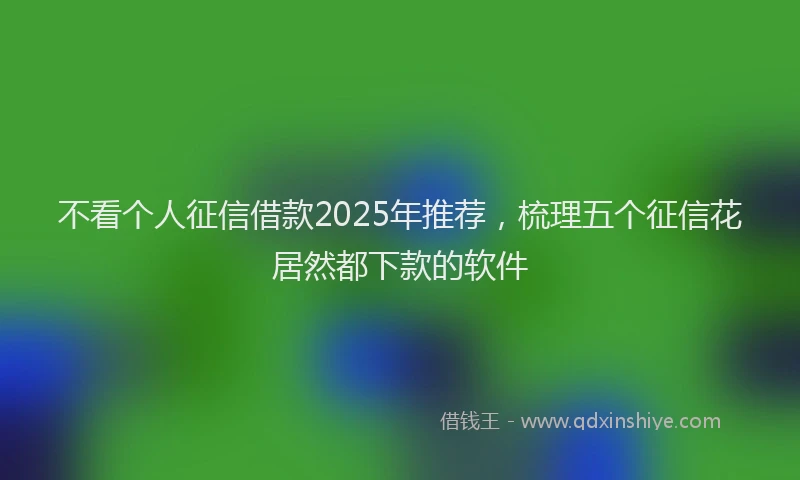 不看个人征信借款2025年推荐，梳理五个征信花居然都下款的软件