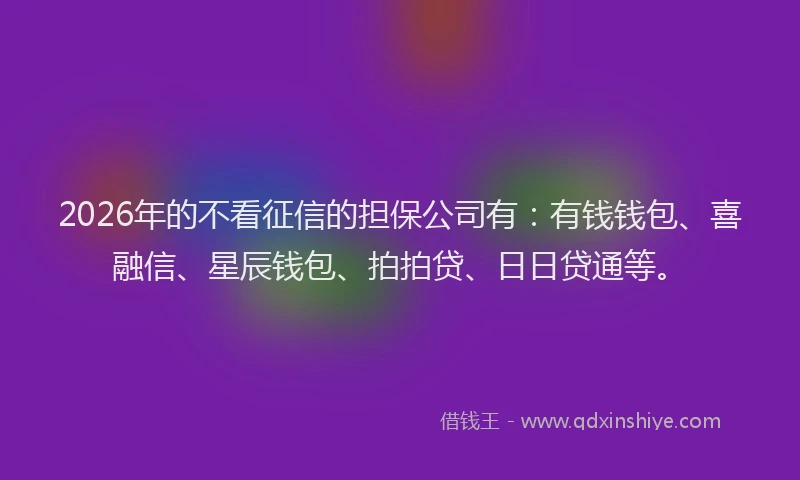 2026年的不看征信的担保公司有：有钱钱包、喜融信、星辰钱包、拍拍贷、日日贷通等。