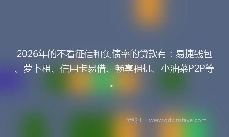 2026年的不看征信和负债率的贷款有：易捷钱包、萝卜租、信用卡易借、畅享租机、小油菜P2P等。