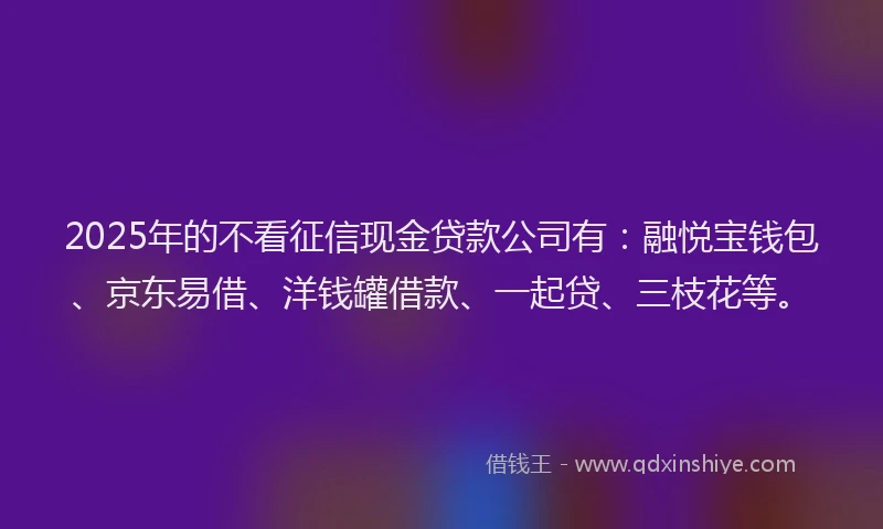 2025年的不看征信现金贷款公司有：融悦宝钱包、京东易借、洋钱罐借款、一起贷、三枝花等。