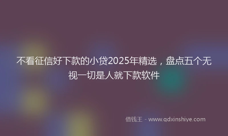 不看征信好下款的小贷2025年精选，盘点五个无视一切是人就下款软件