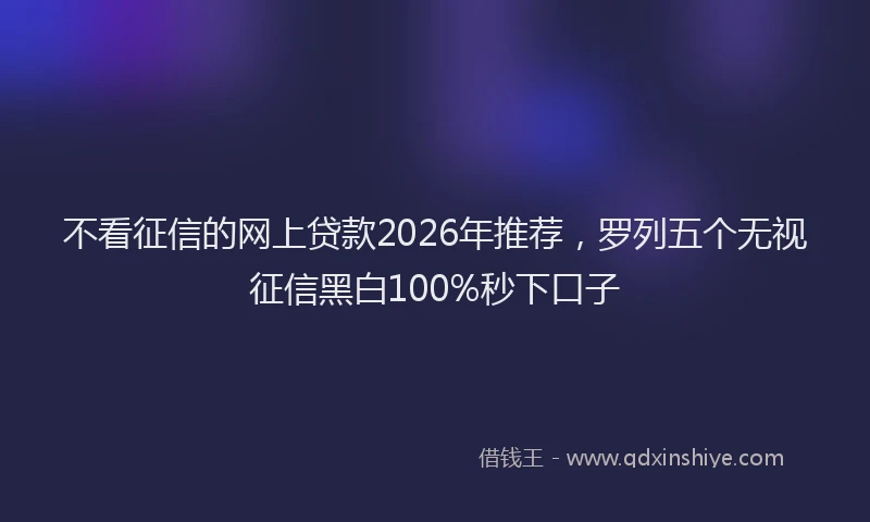 不看征信的网上贷款2026年推荐，罗列五个无视征信黑白100%秒下口子