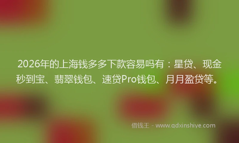 2026年的上海钱多多下款容易吗有：星贷、现金秒到宝、翡翠钱包、速贷Pro钱包、月月盈贷等。