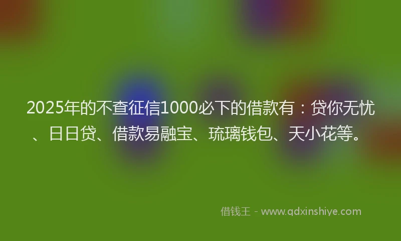 2025年的不查征信1000必下的借款有:贷你无忧、日日贷、借款易融宝、琉璃钱包、天小花等。