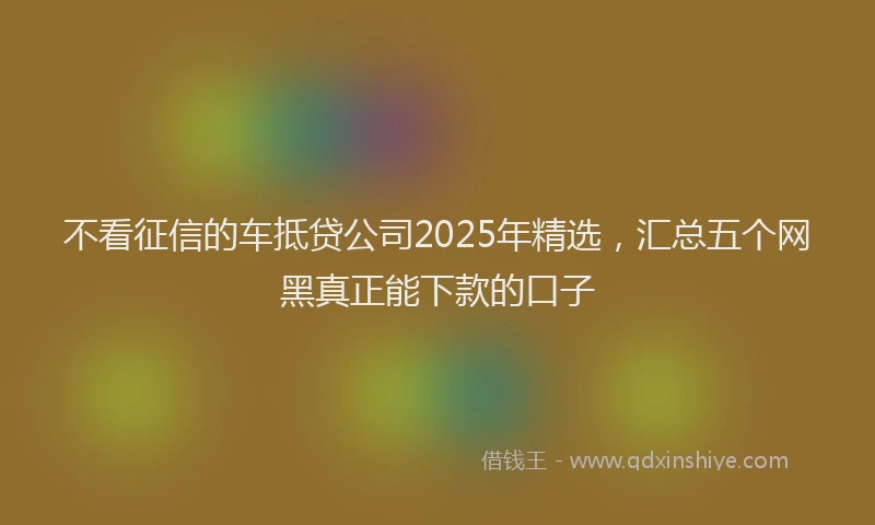 不看征信的车抵贷公司2025年精选，汇总五个网黑真正能下款的口子
