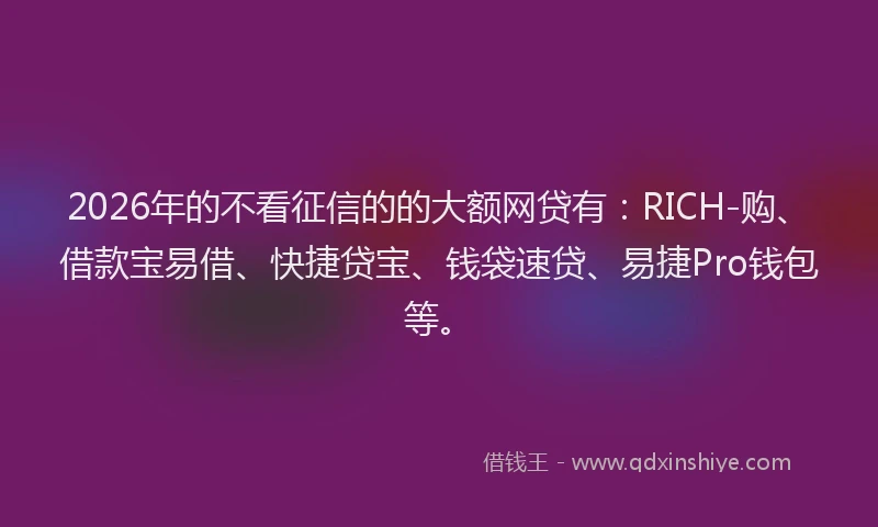 2026年的不看征信的的大额网贷有:RICH-购、借款宝易借、快捷贷宝、钱袋速贷、易捷Pro钱包等。