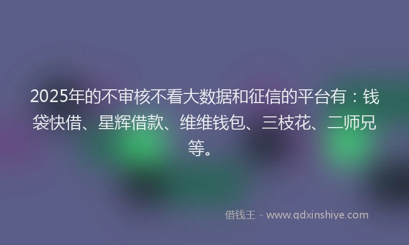 2025年的不审核不看大数据和征信的平台有:钱袋快借、星辉借款、维维钱包、三枝花、二师兄等。