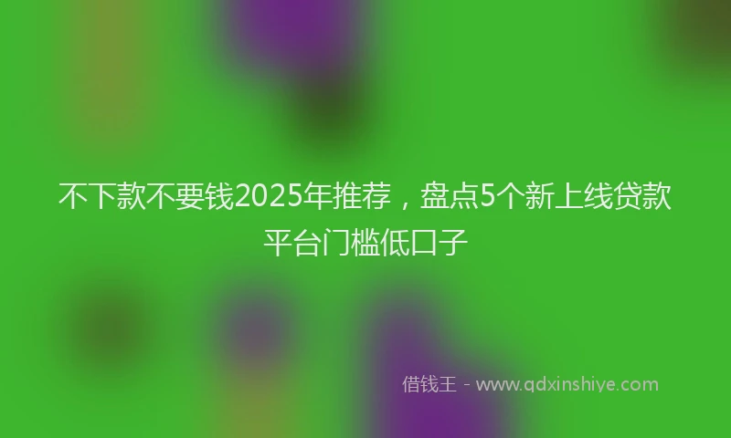 不下款不要钱2025年推荐，盘点5个新上线贷款平台门槛低口子
