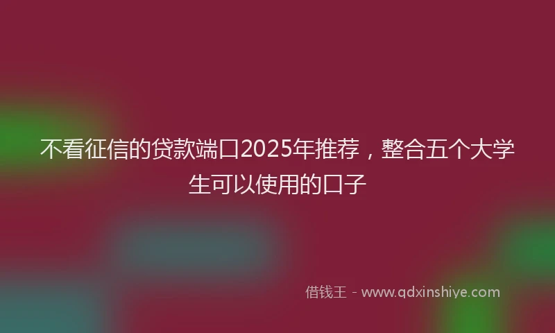 不看征信的贷款端口2025年推荐，整合五个大学生可以使用的口子