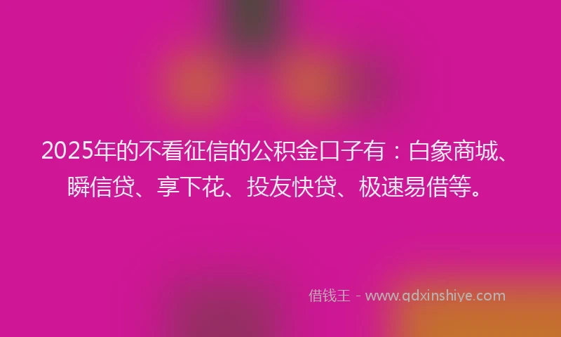 2025年的不看征信的公积金口子有：白象商城、瞬信贷、享下花、投友快贷、极速易借等。