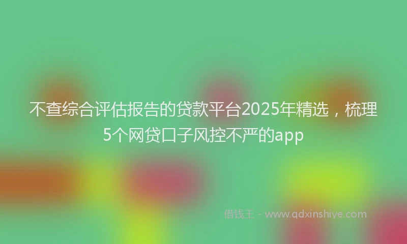 不查综合评估报告的贷款平台2025年精选,梳理5个网贷口子风控不严的app